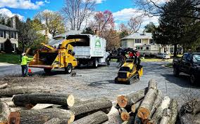 Best Leaf Removal  in Delafield, WI